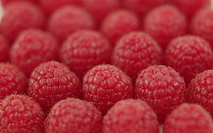 Raspberry fruit lot