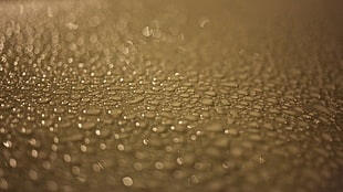 shadow depth of field photography of water droplets