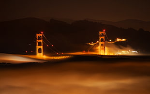 lighted bridge photo
