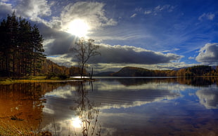 wide-angle landscape photograph of trees near body of water on a daylight setting