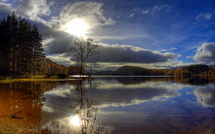 wide-angle landscape photograph of trees near body of water on a daylight setting HD wallpaper