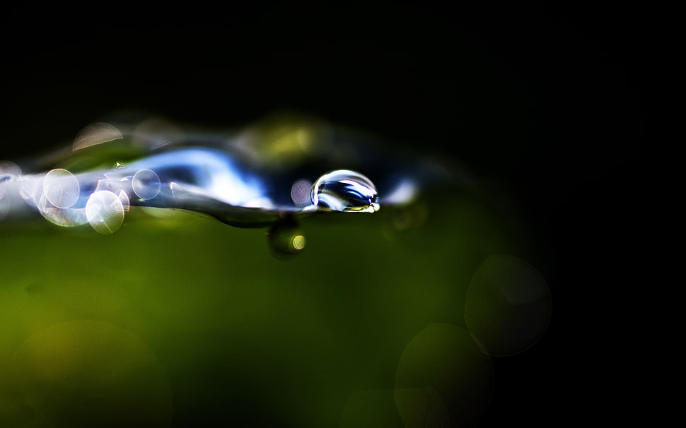 Grass,  Leaf,  Drop,  Glare HD wallpaper