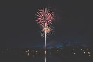 fireworks display, Salute, Holiday, Fireworks