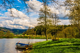 white and blue boat near green grass under white sky and blue clouds
