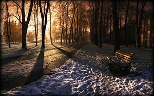 brown and black wooden house, snow, bench, trees, sunlight