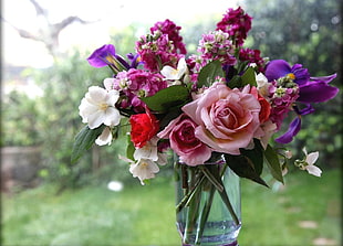 pink , red and purple flowers
