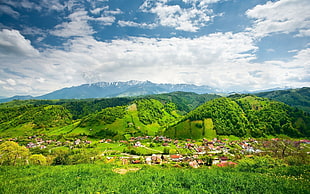 green field grass, nature, landscape, sky, village HD wallpaper