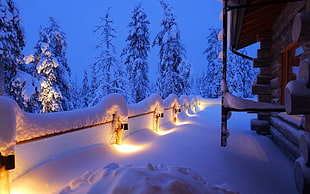 white and brown wooden table, winter, snow, hut, lights