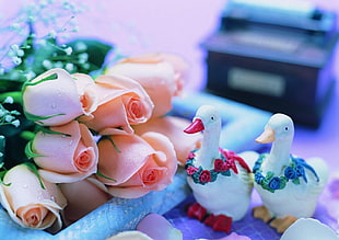 two white ceramic duck figurines beside bouquet of orange flowers
