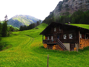 brown house, Switzerland, Lenk, chalet, green HD wallpaper