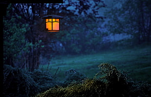 Lantern on green mountain during night time