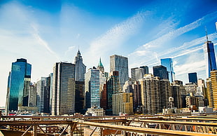 assorted buildings, cityscape, skyscraper, New York City