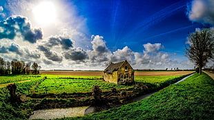 yellow and green concrete house, clouds, sky, Sun, house HD wallpaper