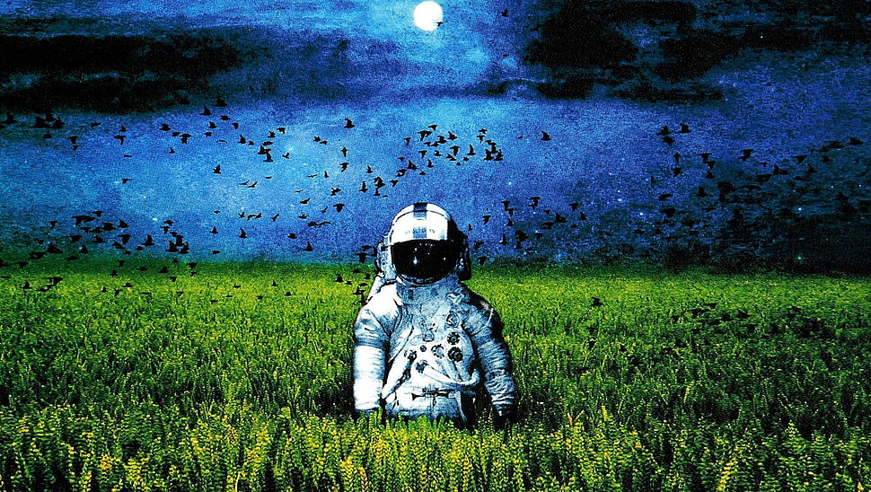 astronaut in middle of grass field painting, astronaut, artwork, album covers HD wallpaper