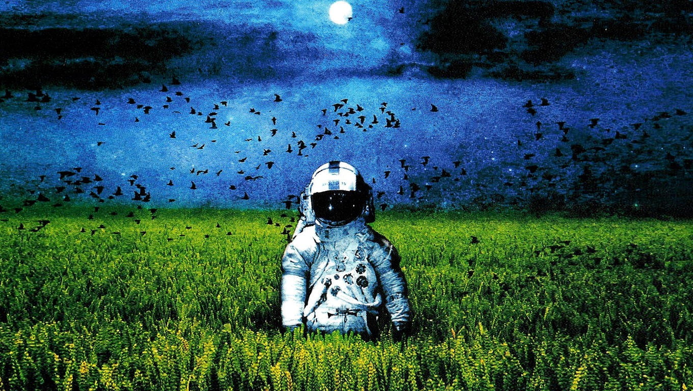 astronaut in middle of grass field painting, astronaut, artwork, album covers