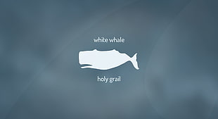 white whale holy grail wallpaper, whale, minimalism, Mastodon, literature