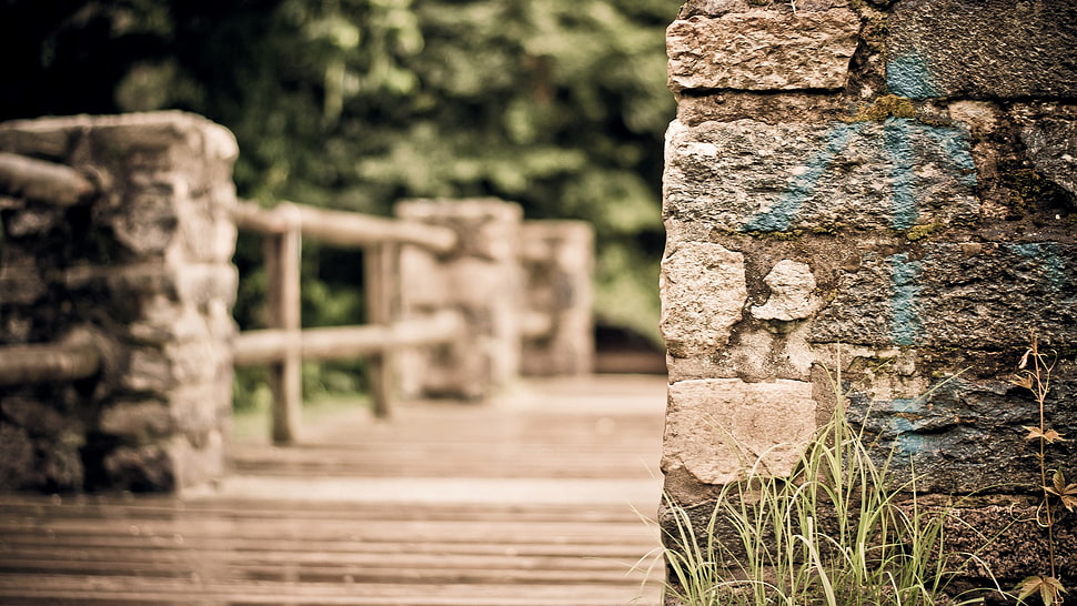 green leafed grass, HDR, macro, bridge, grass HD wallpaper