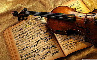 brow and black cello on top of musical sheet book HD wallpaper