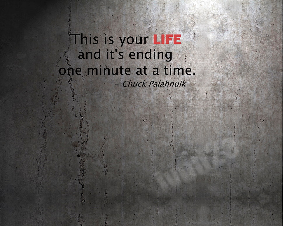 gray background with text overlay, Fight Club, quote, grunge HD wallpaper