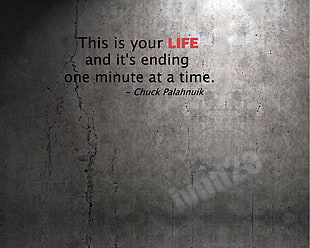 gray background with text overlay, Fight Club, quote, grunge HD wallpaper