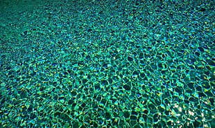 green water, water, underwater HD wallpaper