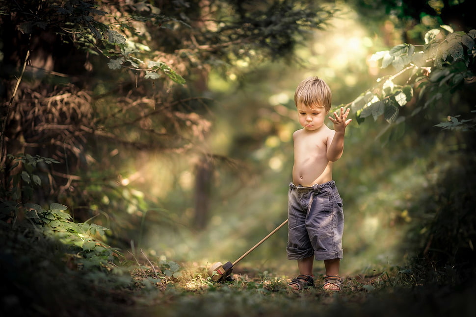 boy's black shorts, children, little boy, nature, forest HD wallpaper