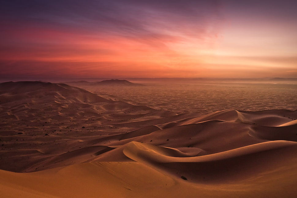 photo of desert during golden hour HD wallpaper