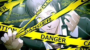 male anime character wallpaper, Persona series
