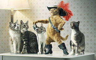 Puss in Boots, cat, animals, Puss in Boots, Raiden