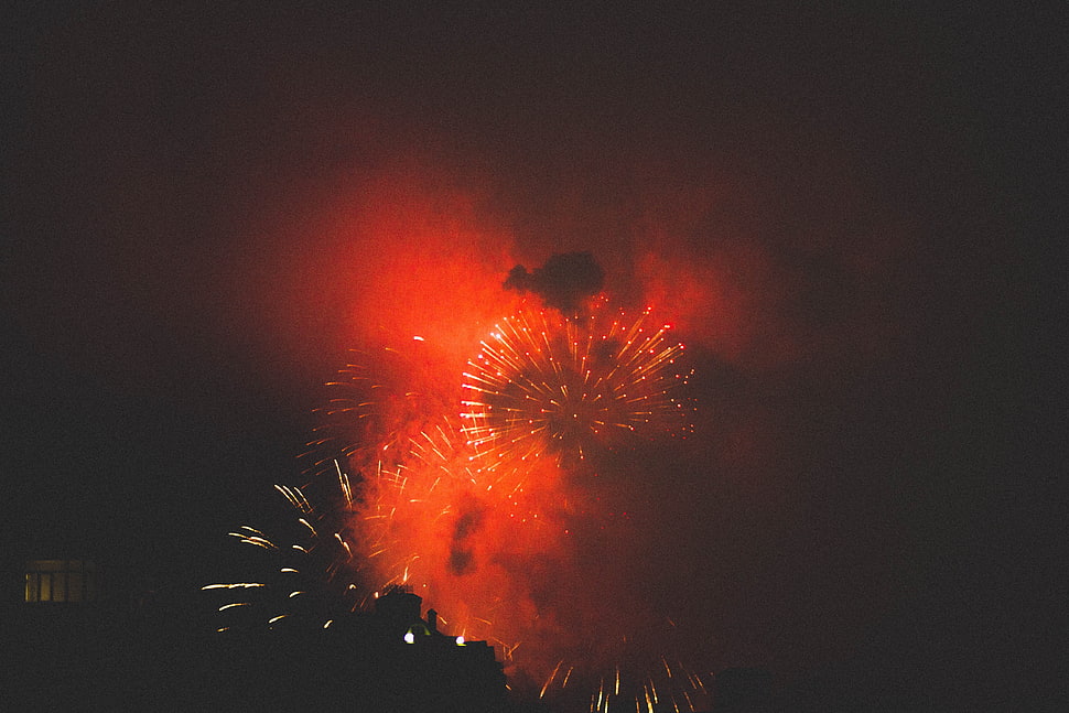 fireworks display, Salute, Holiday, Fireworks HD wallpaper