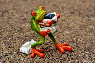 green red eyed frog carrying books