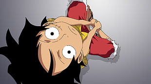 Monkey D. Luffy, One Piece, Monkey D. Luffy, anime