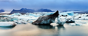 ice covered stone, nature, sea, iceberg, ice