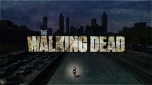 The Walking Dead digital wallpaper, The Walking Dead, TV