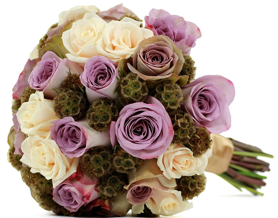 bouquet of white and purple roses HD wallpaper