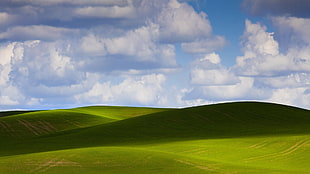 green field