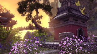 pink flowers, PC gaming, Blade & Soul, screen shot HD wallpaper