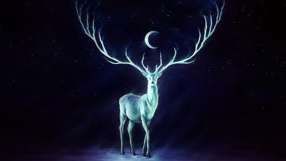 white deer illustration HD wallpaper