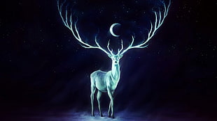 white deer illustration