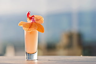 focused photo of fully-filled drinking glass with Orchid flower