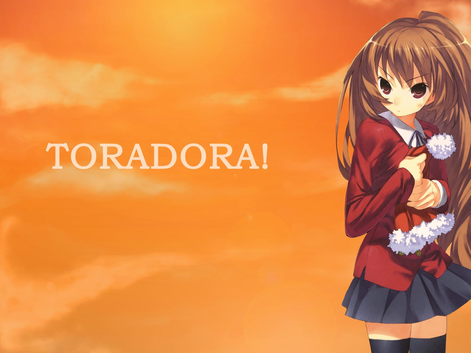 Toradora Aisaka Taiga graphic wallpaper