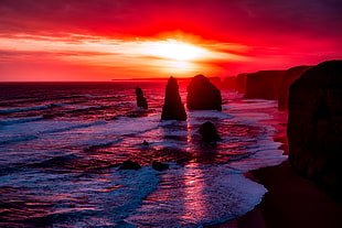 seashore during sunset photo