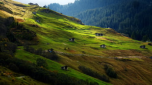 mountain with green grasses and houses HD wallpaper