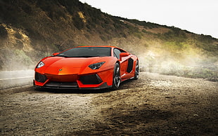 red Lamborghini sports coupe, Lamborghini, Lamborghini Aventador, car