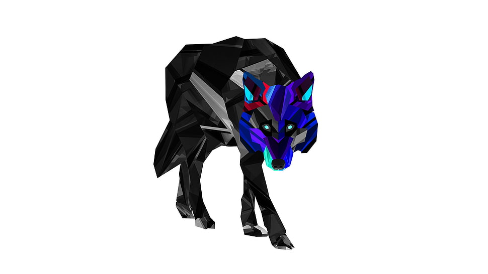black and blue wolf illustration HD wallpaper