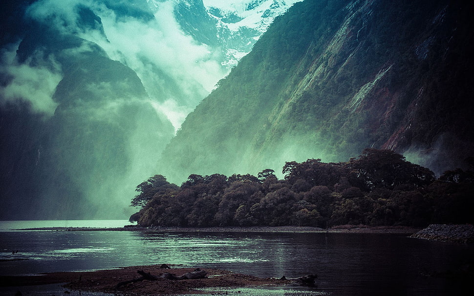 green trees field, water, mist, forest, trees HD wallpaper