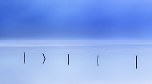 five black poles on body of water HD wallpaper