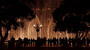 group of people silhouette wallpaper, Bellagio, Las Vegas, fountain, night