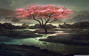 cherry blossom tree digital wallpaper, fantasy art, cherry blossom, stream HD wallpaper