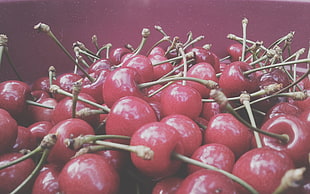 red berries in closeup photo HD wallpaper